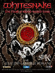 Afis Whitesnake - The Flesh & Blood World Tour pe 1 Iulie la Arenele Romane