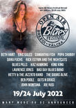 Afis Open Air Blues Festival Brezoi 4th Edition