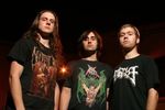 Revocation