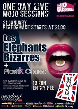 Concert Les Elephants Bizzares si Plastik Charm in Club Mojo