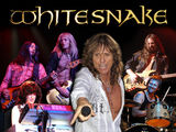 Whitesnake nu vor concerta in 2010 insa pregatesc un nou album
