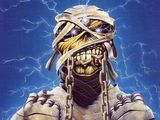 Iron Maiden vin cu reduceri si produse noi pe METALHEAD Shop.
