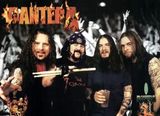 Managementul Pantera pregateste un nou album Best Of