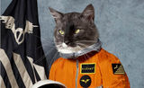 Klaxons dezvaluie identitatea pisicii spatiale de pe coperta albumului