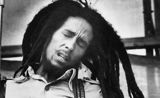 Promoterul festivalului tribut Bob Marley a castigat in instanta