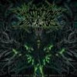 Cronica Annotations of an Autopsy - Before The Throne Of Infection