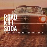 Roadkillsoda , pe scena de la Fuzztastic Planet Festival