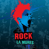 Festivalul Rock la Mures editia XI