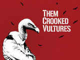 Asculta primul single semnat Them Crooked Vultures!