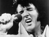Parul lui Elvis se vinde in continuare foarte bine