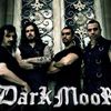 dark moor