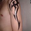 Poze Tatuaje
