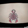 Scorpion rosu pe spate