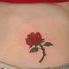 Trandafir rosu pe spate