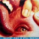 Yeah, I Know It's a Drag... But Wastin Pigs Is Still Radical - EP
