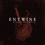 Entwine lanseaza primul Best Of din cariera