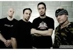 Sick Of It All au fost intervievati in Belgia (video)