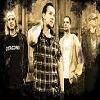Volbeat au refuzat un turneu cu In Flames