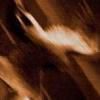 Cronica Agalloch - Ashes Against The Grain