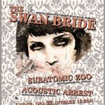 Concert The Swan Bride si altii in Gambrinus Pub din Cluj