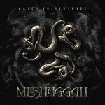 Retrospectiva anilor 2000: Meshuggah - Catch 33