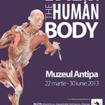 Expozitia 'The Human Body', in premiera la Muzeul Antipa