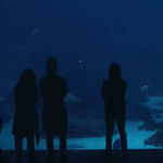 Pierce The Veil au lansat videoclipul piesei 'Dive In'