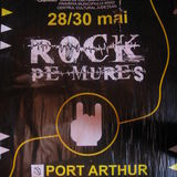 AFISUL CU PREZENTAREA FESTIVALULUI ROCK OE MURES,ARAD,EDITIA 2010,28-30 MAI