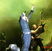 Artmania Festival 2010 - Serj Tankian, Kamelot, Sirenia, Sisters Of Mercy (User Foto) Poze Artmania-Swallow The Sun, Kamelot,The Sisters of Mercy, Sirenia,Dark Tranquillity&Serk Tankian