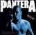 Poze Pantera pantera
