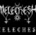 Poze MELECHESH logo