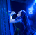Poze Evanescence Evanescence in concert la Bucuresti