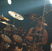 Poze concert Amorphis la Arenele Romane din Bucuresti Poze concert AMORPHIS la Arenele Romane din Bucuresti