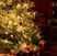 Poze_MH Christmas Tree
