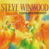 Steve Winwood - TALKING BACK TO THE NIGHT