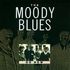 Moody Blues - Go Now