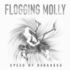 Flogging Molly - The Speed Of Darkness