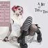 Emilie Autumn - A Bit o'' This & That