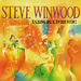 Steve Winwood - TALKING BACK TO THE NIGHT