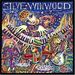 Steve Winwood - ABOUT TIME