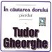 Tudor Gheorghe - In cautarea dorului pierdut
