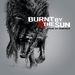 Burnt by the Sun - Heart Of Darkness