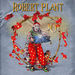 Poze Robert Plant - Robert Plant