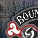 Bouncing Souls - 20th Anniversary Series