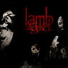 Poze Poze Lamb of God - live