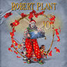Poze Poze Robert Plant - Robert Plant