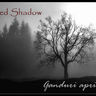 Poze Red Shadow poze - Ganduri Aprinse