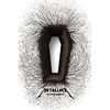 Cumpara Metallica - Death Magnetic (Special pentru Romania) (CD) Metallica - Death Magnetic (Special pentru Romania) (CD)