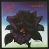 Thin Lizzy - Black Rose (1CD)