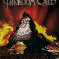 Freedom Call - Live In Hellvetia -Digi- (DVD)